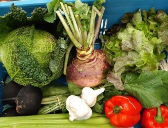 Afhaalpunt Bio groenten en/of fruitpakket vzw De Loods elke vrijdag tussen 14.00 en 19.00 Hr