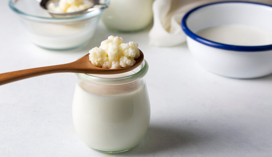 Melk op zijn mooist: kefir, yoghurt en kwark als voeding voor je darmen en je ziel