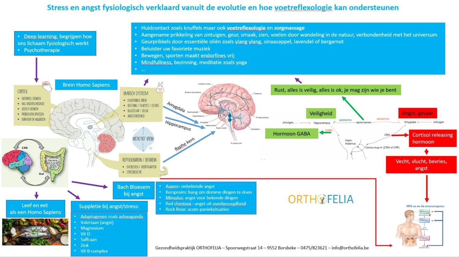 voetreflexologie en zorgmassage bij stress en angst