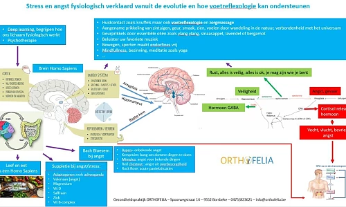 Ondersteuning van voetreflexologie en zorgmassage bij stress en angst