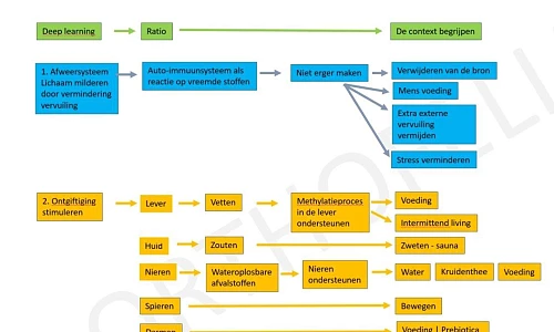Mogelijke strategie voor detoxificatie van het lichaam