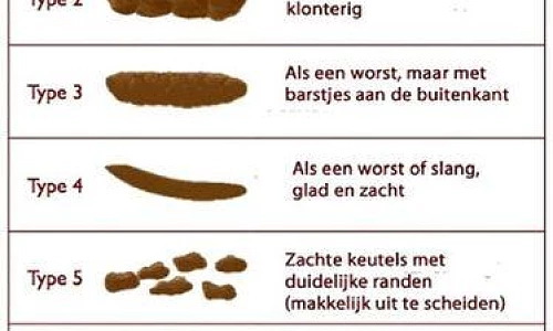 Bristol stoelgangkaart